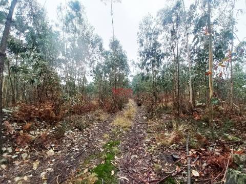 Terreno Rústico  Venda em Fornelo e Vairão,Vila do Conde