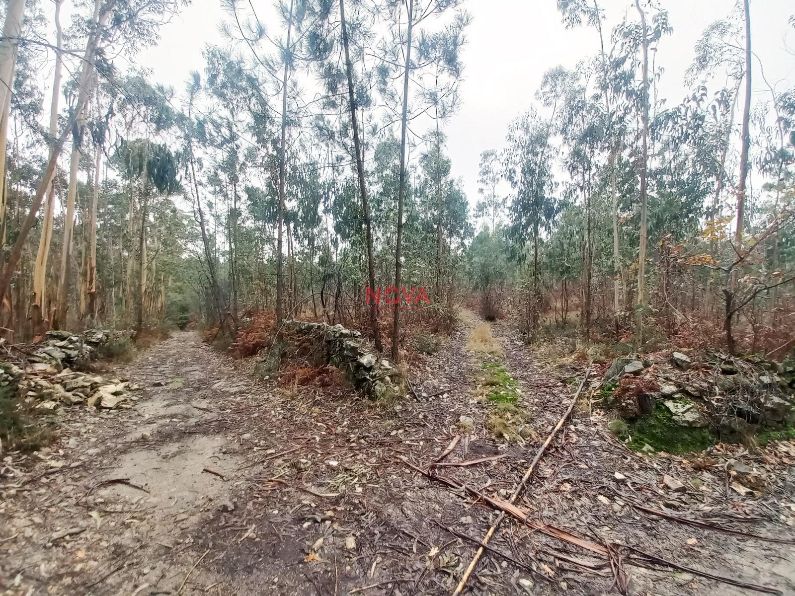 Terreno Rústico  Venda em Fornelo e Vairão,Vila do Conde