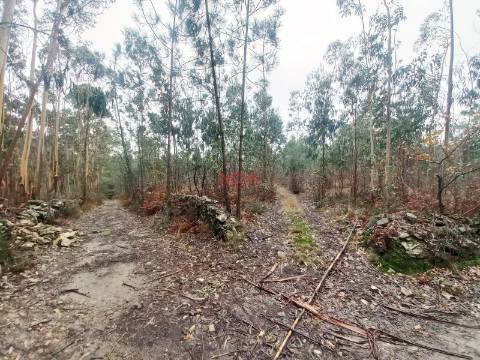 Terreno Rústico  Venda em Fornelo e Vairão,Vila do Conde