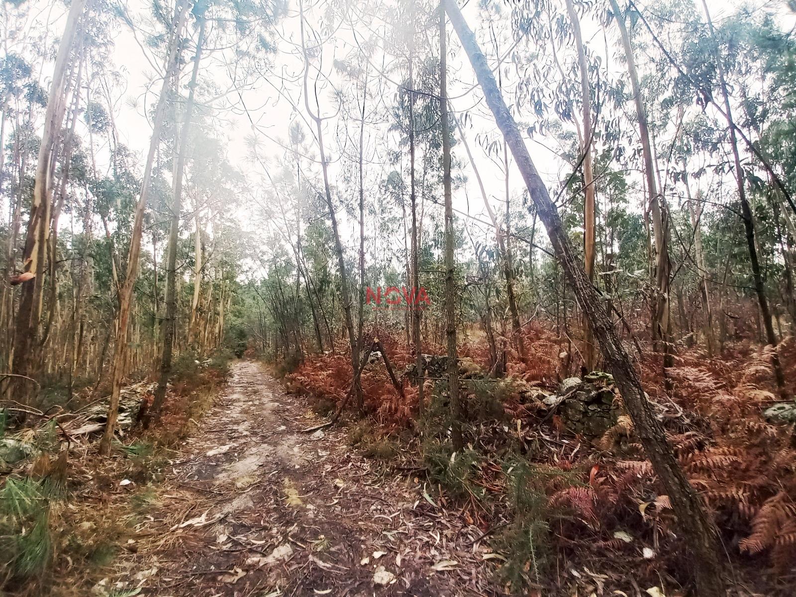 Terreno Rústico  Venda em Fornelo e Vairão,Vila do Conde