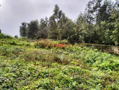 Terreno Rústico  Venda em Grijó e Sermonde,Vila Nova de Gaia
