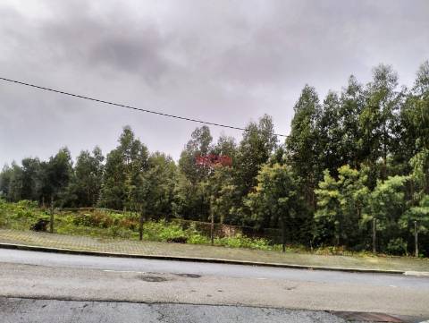 Terreno Rústico  Venda em Grijó e Sermonde,Vila Nova de Gaia