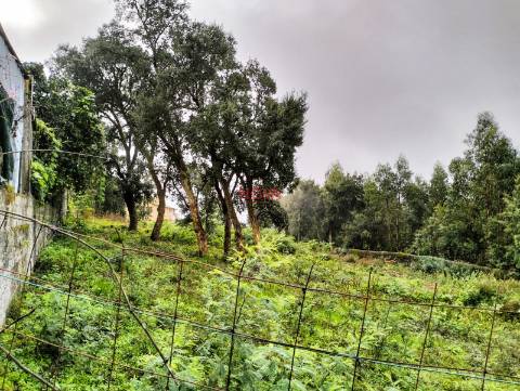 Terreno Rústico  Venda em Grijó e Sermonde,Vila Nova de Gaia