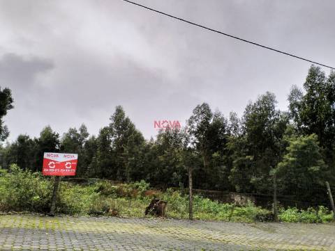 Terreno Rústico  Venda em Grijó e Sermonde,Vila Nova de Gaia