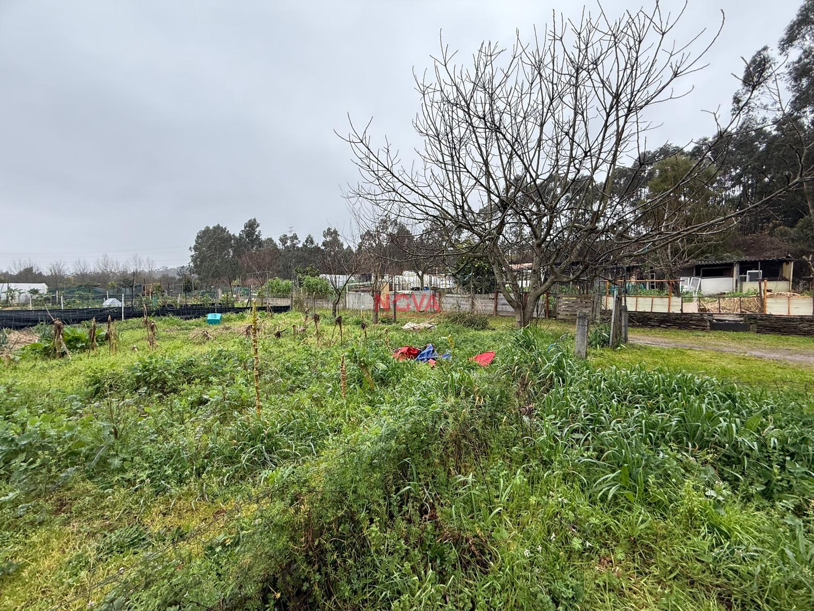 Terreno Rústico  Venda em Valongo,Valongo