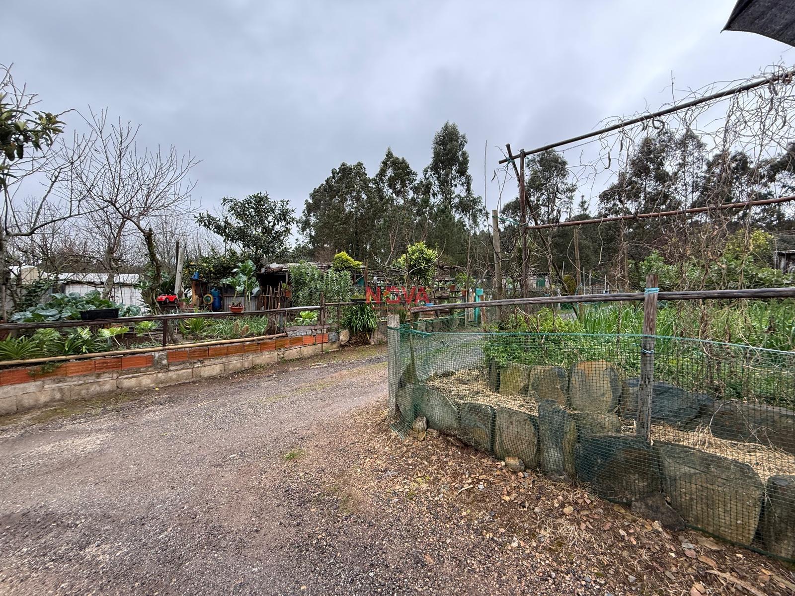 Terreno Rústico  Venda em Valongo,Valongo