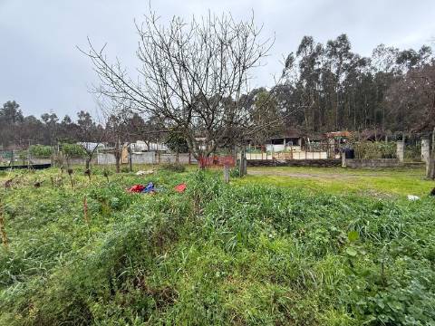 Terreno Rústico  Venda em Valongo,Valongo