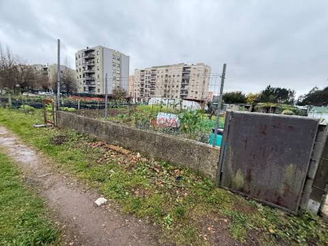 Terreno Rústico  Venda em Valongo,Valongo