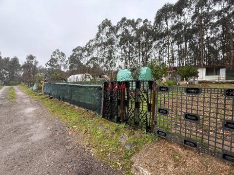 Terreno Rústico  Venda em Valongo,Valongo