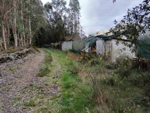 Terreno Rústico  Venda em Valongo,Valongo