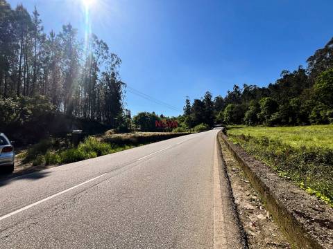 Terreno Rústico  Venda em Covelas,Trofa