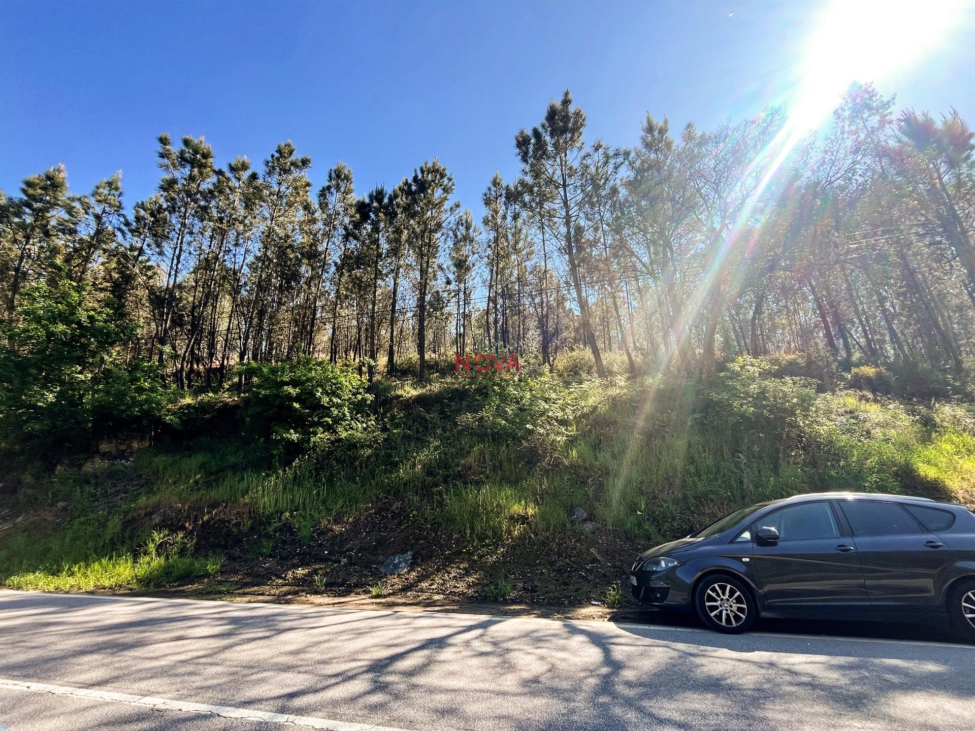Terreno Rústico  Venda em Covelas,Trofa