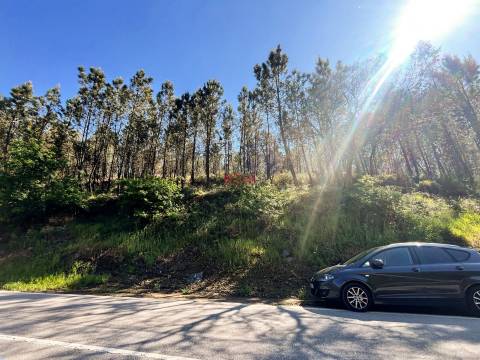 Terreno Rústico  Venda em Covelas,Trofa