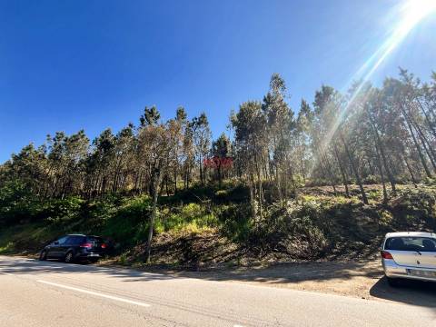 Terreno Rústico  Venda em Covelas,Trofa