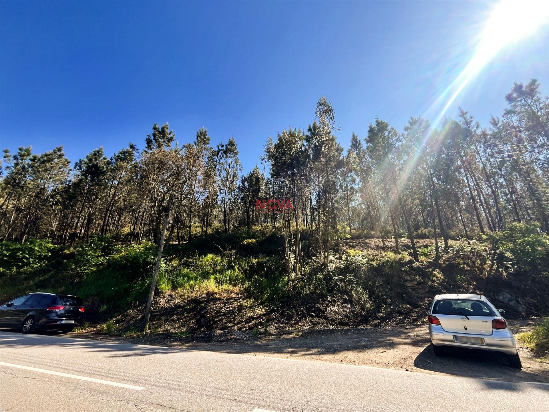 Terreno Rústico  Venda em Covelas,Trofa
