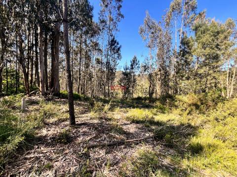Terreno Rústico  Venda em Covelas,Trofa