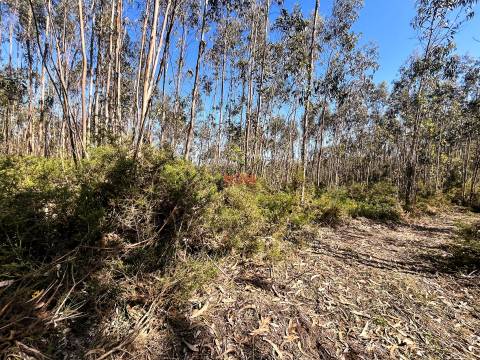 Terreno Rústico  Venda em Covelas,Trofa