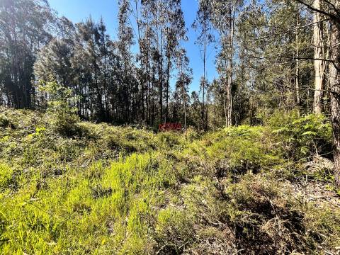 Terreno Rústico  Venda em Covelas,Trofa