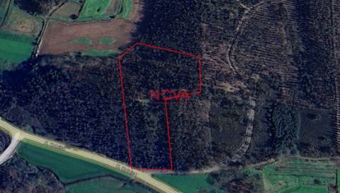 Terreno Rústico  Venda em Covelas,Trofa