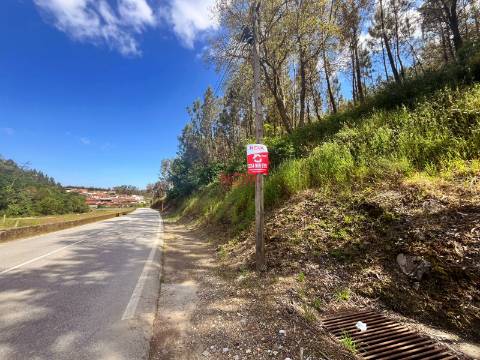 Terreno Rústico  Venda em Covelas,Trofa