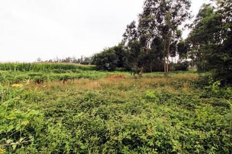 Terreno Para Construção  Venda em Aveleda,Vila do Conde