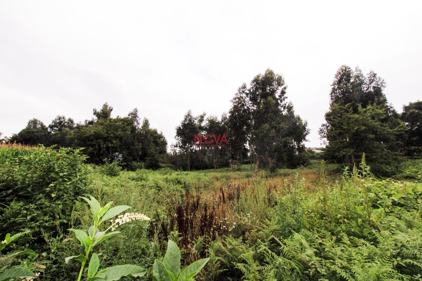 Terreno Para Construção  Venda em Aveleda,Vila do Conde