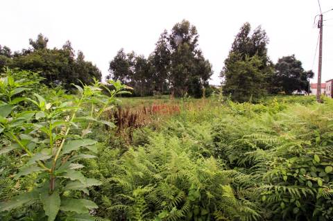 Terreno Para Construção  Venda em Aveleda,Vila do Conde