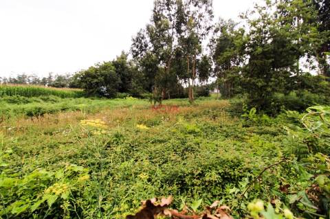 Terreno Para Construção  Venda em Aveleda,Vila do Conde