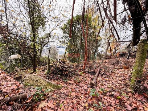 Moradia Isolada T2 Venda em Canedo de Basto e Corgo,Celorico de Basto