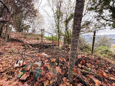 Moradia Isolada T2 Venda em Canedo de Basto e Corgo,Celorico de Basto