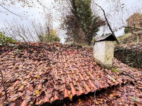 Moradia Isolada T2 Venda em Canedo de Basto e Corgo,Celorico de Basto