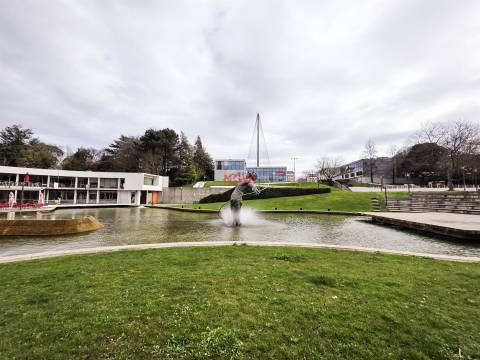Loja  Venda em Ermesinde,Valongo