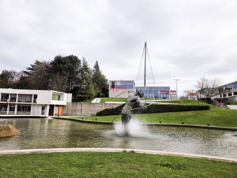 Loja  Venda em Ermesinde,Valongo