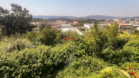 Terreno  Venda em Gandra,Paredes