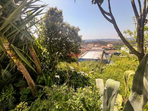 Terreno  Venda em Gandra,Paredes