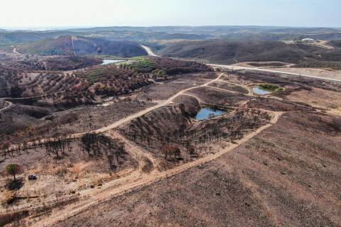 Terreno, Almarjões, Mexilhoeira Grande, Portimão