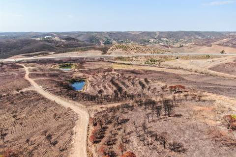 Terreno Misto, Almarjões, Mexilhoeira Grande, Portimão