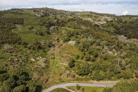 Terreno com Ruína, Monchique, Algarve