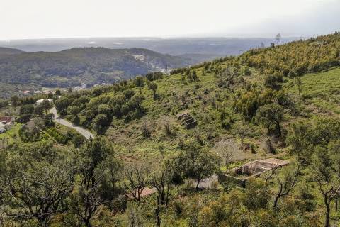 Terreno com Ruína, Monchique, Algarve