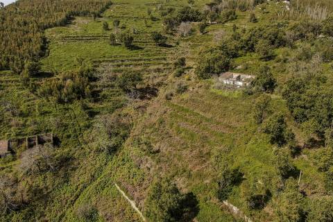 Terreno com Ruína, Monchique, Algarve
