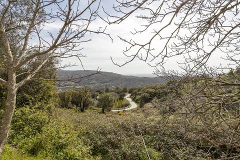 Terreno com Ruína, Monchique, Algarve