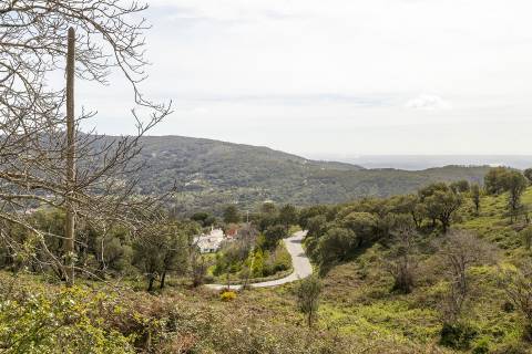 Terreno com Ruína, Monchique, Algarve