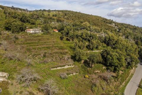Terreno com Ruína, Monchique, Algarve