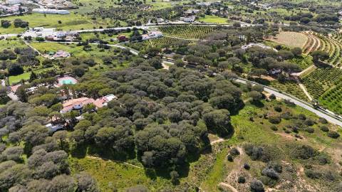 Terreno Rústico, Porches, Lagoa