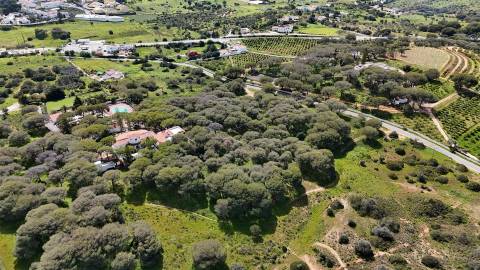 Terreno Rústico, Porches, Lagoa