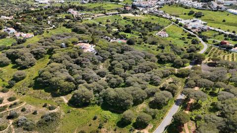 Terreno Rústico, Porches, Lagoa