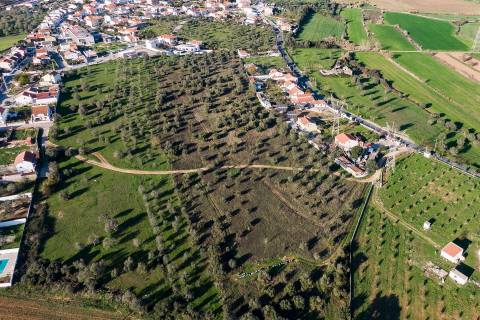 Terreno  Urbanizável  em Loures