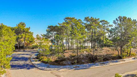 Lote de Terreno Urbano em Tróia