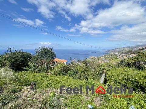 Terreno Rústico  Venda em Ribeira Brava,Ribeira Brava