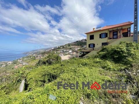 Terreno Rústico  Venda em Ribeira Brava,Ribeira Brava